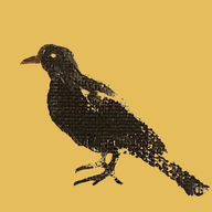 Il Merlo AB logotyp