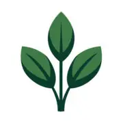 Strået vassare Skåne AB logotyp
