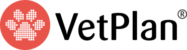 Petinfocus AB logotyp