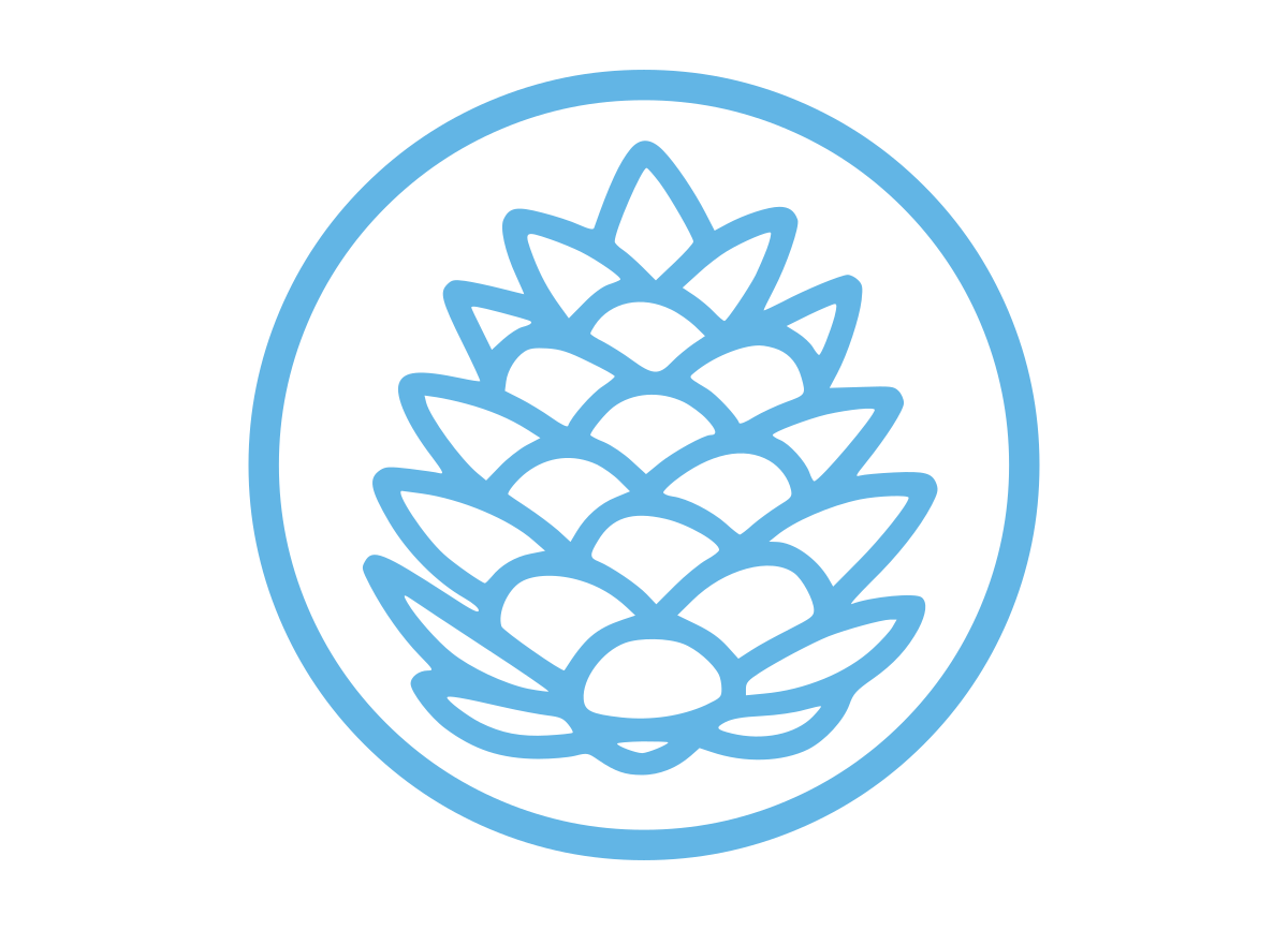 Netslot Consulting AB logotyp