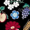 Share Gardens International AB logotyp