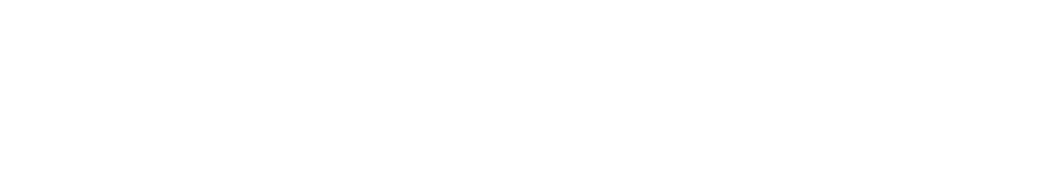 Peters Bilvård AB logotyp