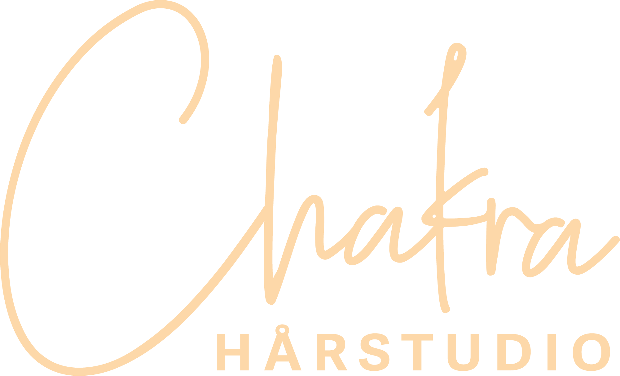 Chakra Hårstudio AB logotyp
