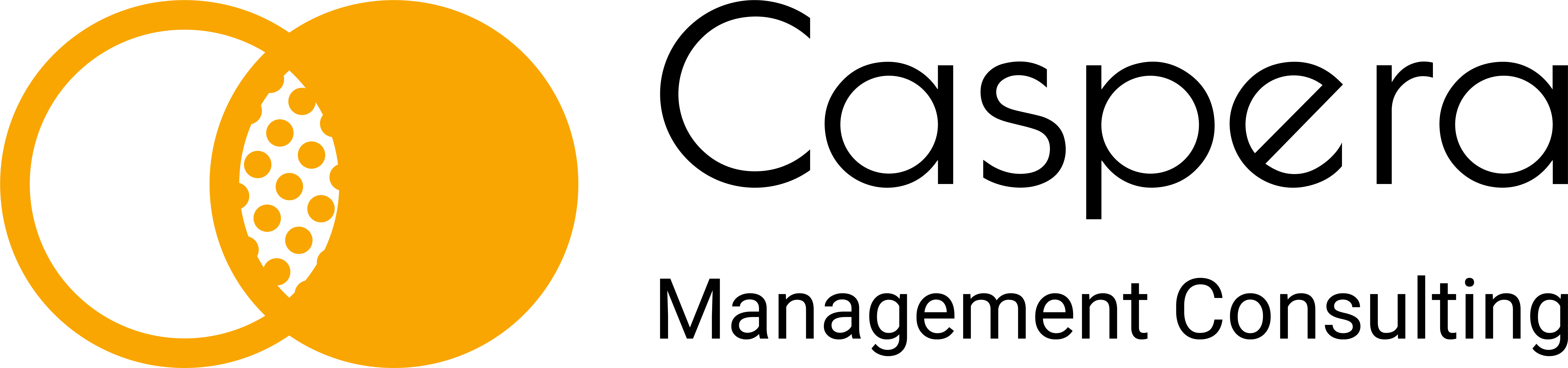 Caspera Digital Solutions AB logotyp