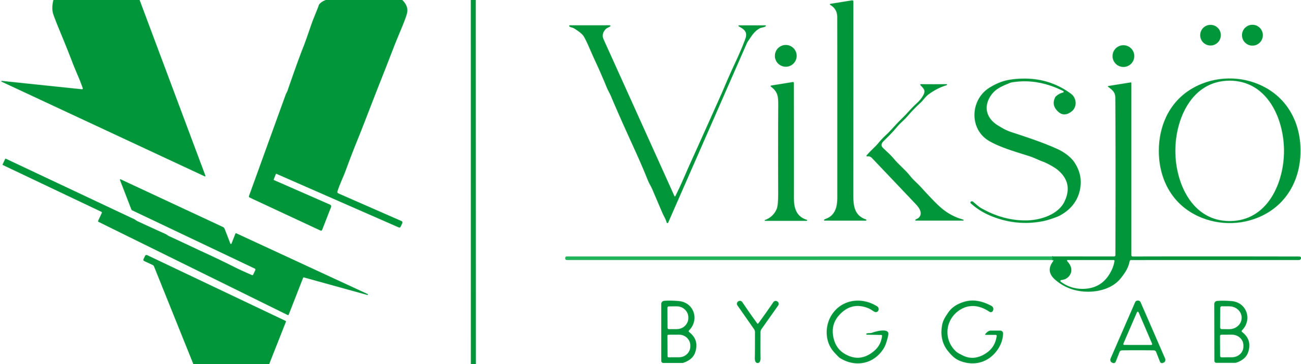 Viksjö Bygg AB logotyp