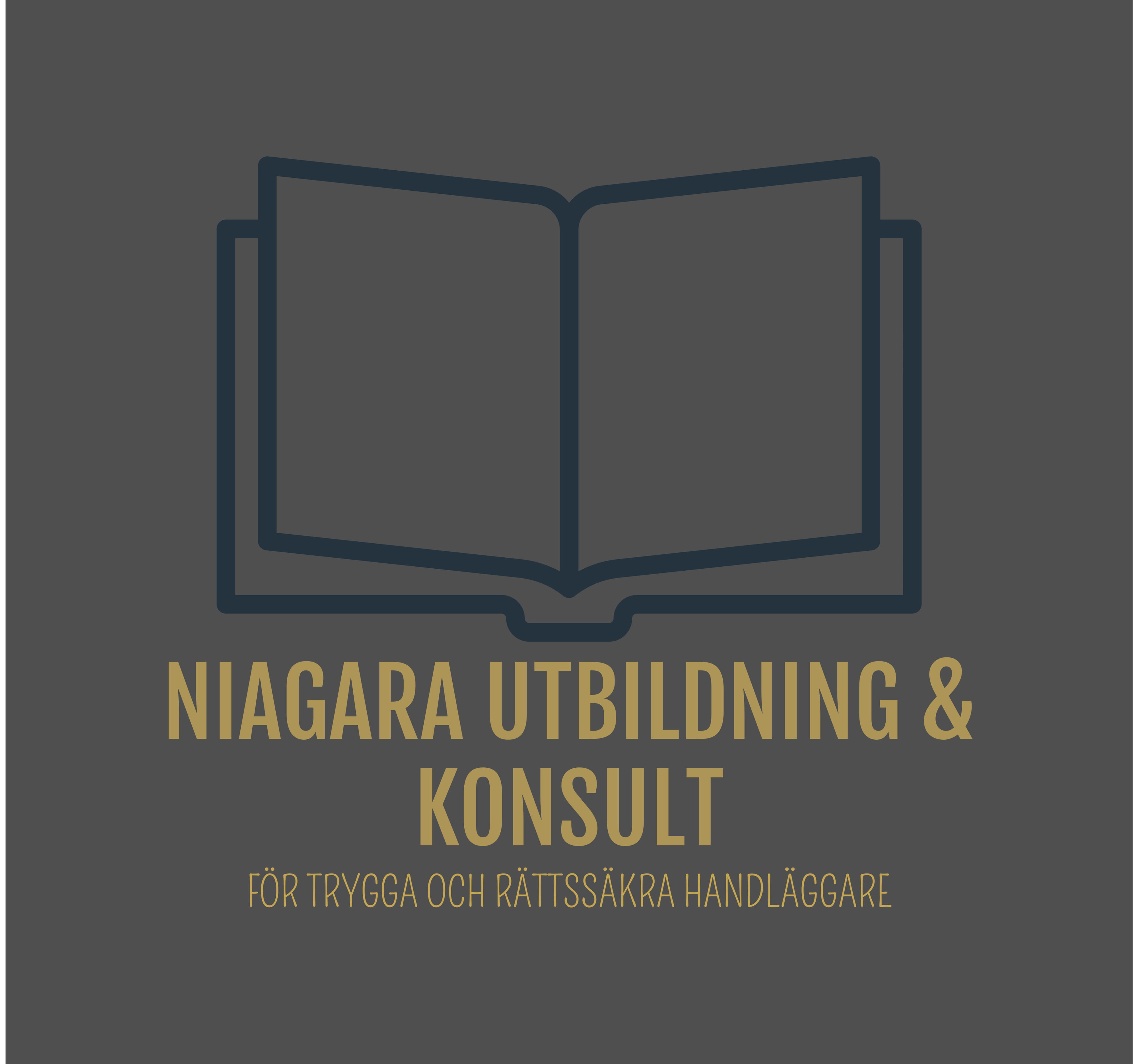 Niagara utbildning AB logotyp