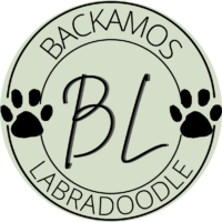 Backamos Labradoodle AB logotyp