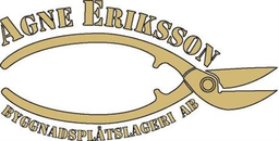 Agne Eriksson Taksäkerhet AB logotyp