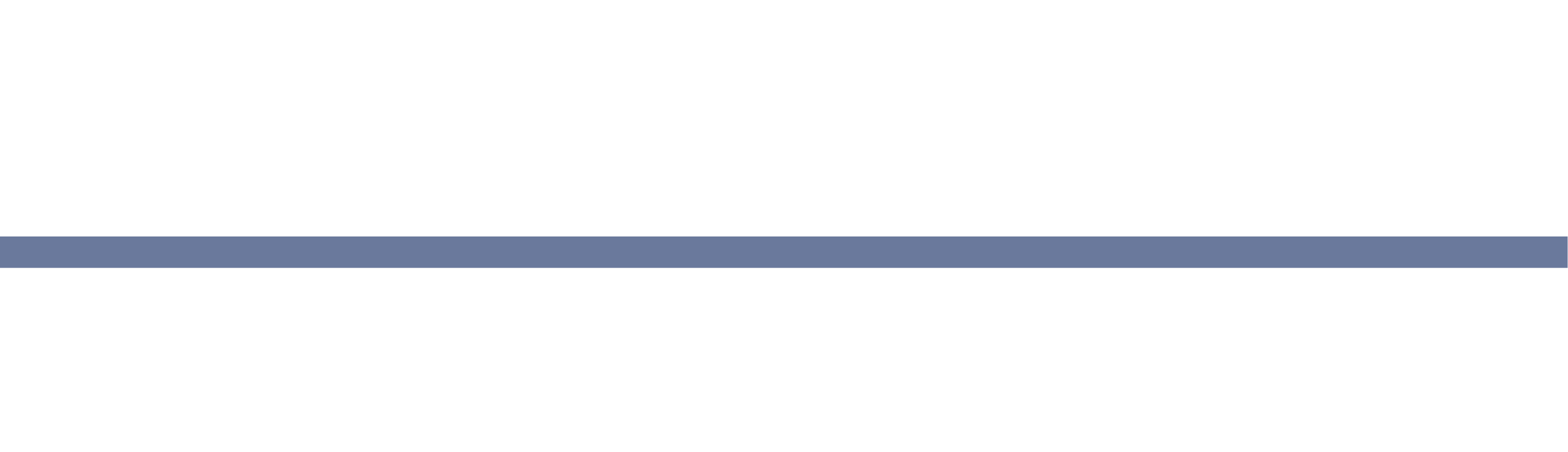Nordic Security Sweden AB logotyp