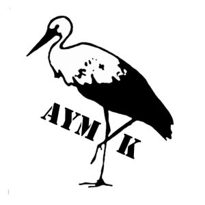 Aktiebolaget AYM Informationssäkerhetskonsult logotyp