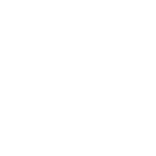Lidingö Danscenter AB logotyp