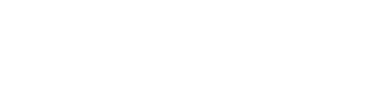 Nordisk projekt o besiktning AB logotyp