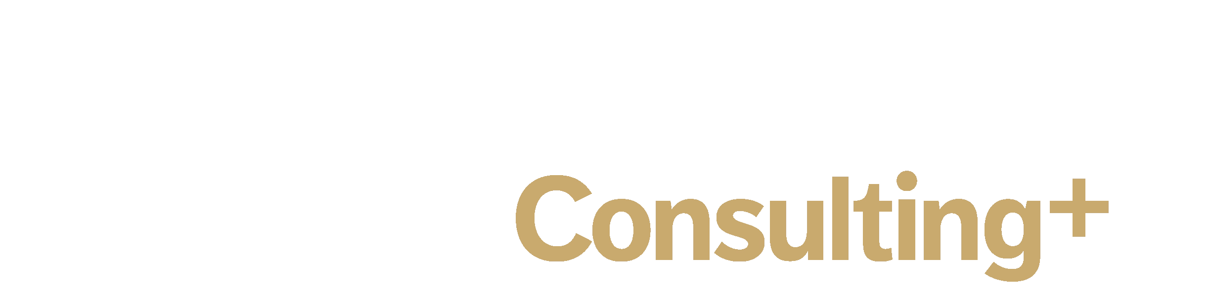 Frida Engman Consulting+ AB logotyp