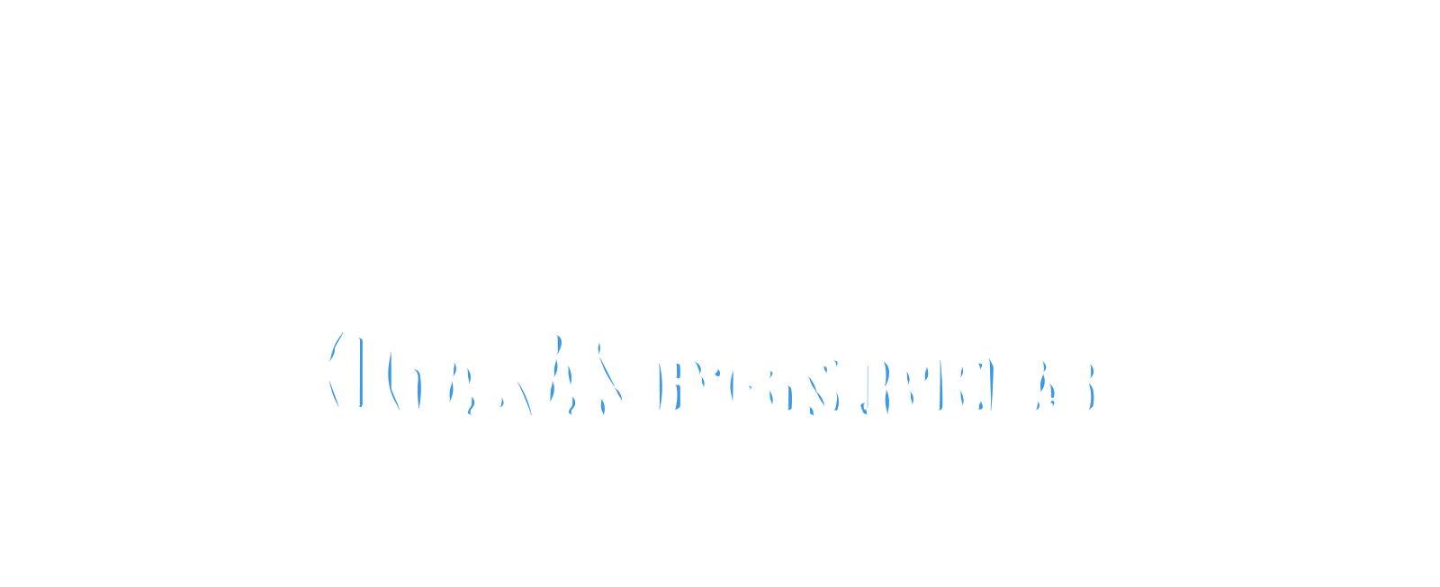Höganäs Byggservice AB logotyp