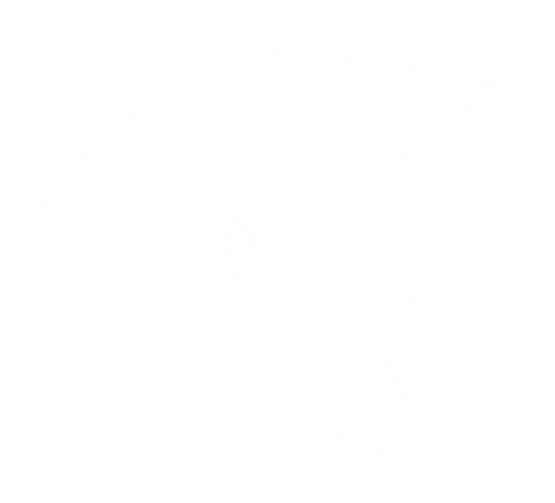 Your unique unicorn AB logotyp