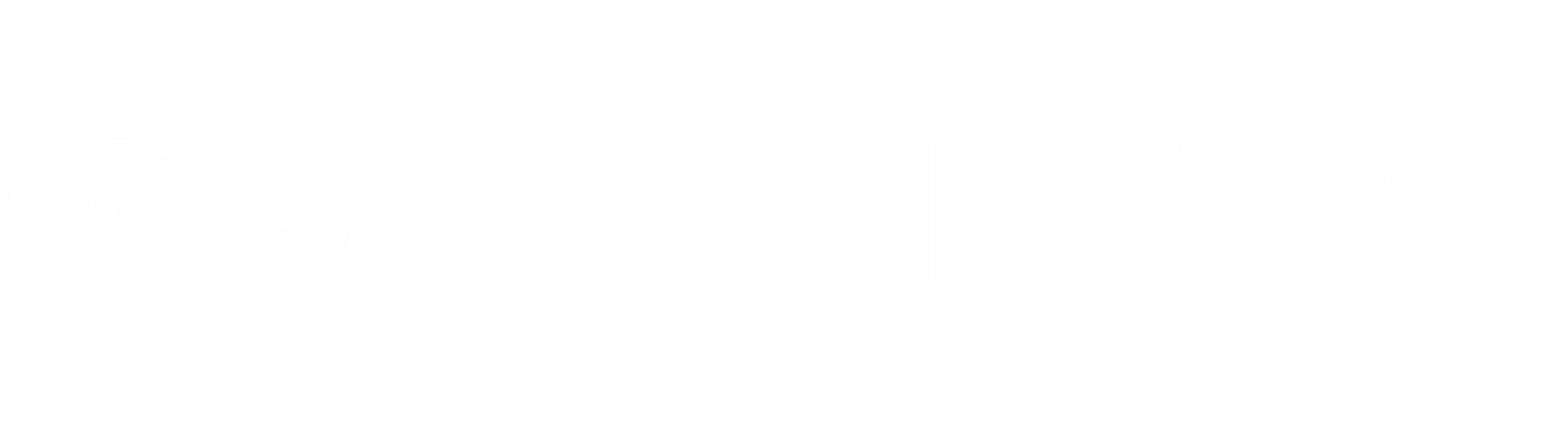 Skattenytta 2.0 AB logotyp