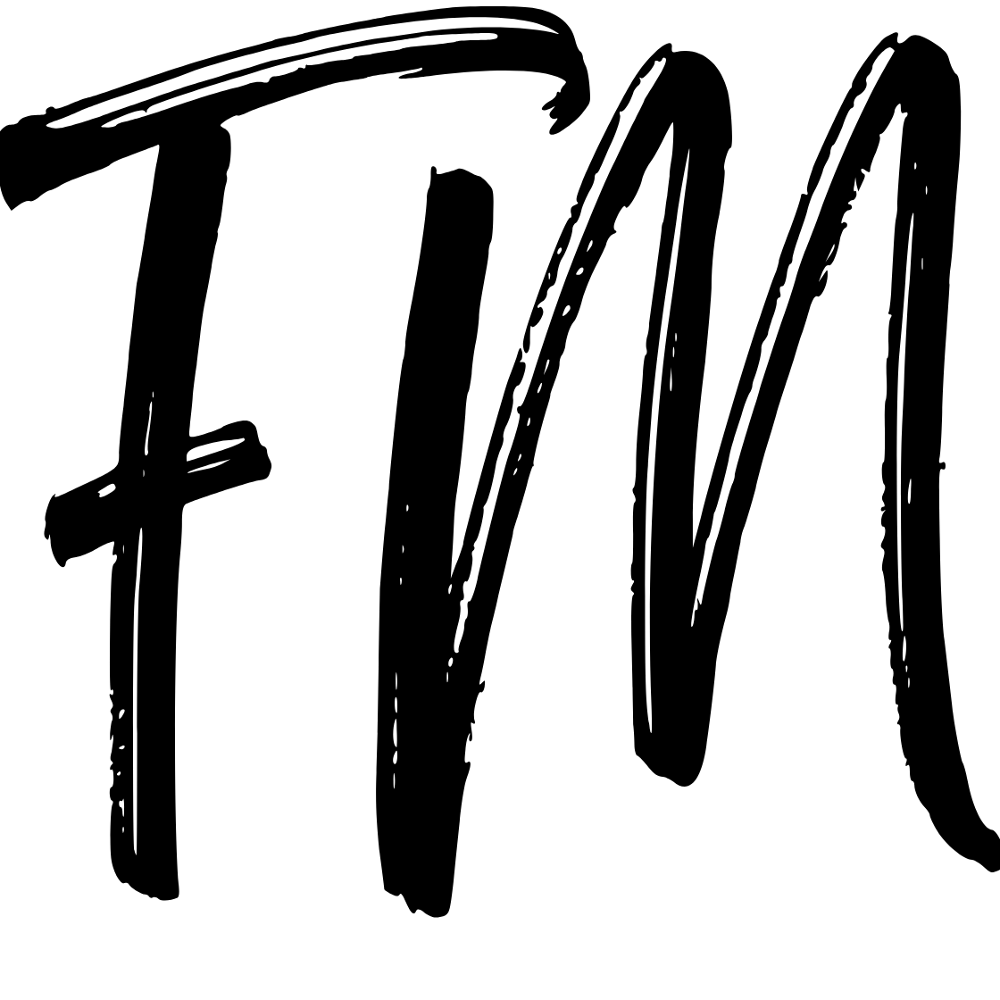 FM Innovation AB logotyp