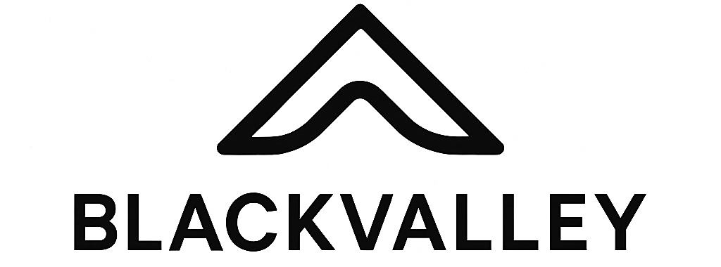 Blackvalley Försäljnings AB logotyp