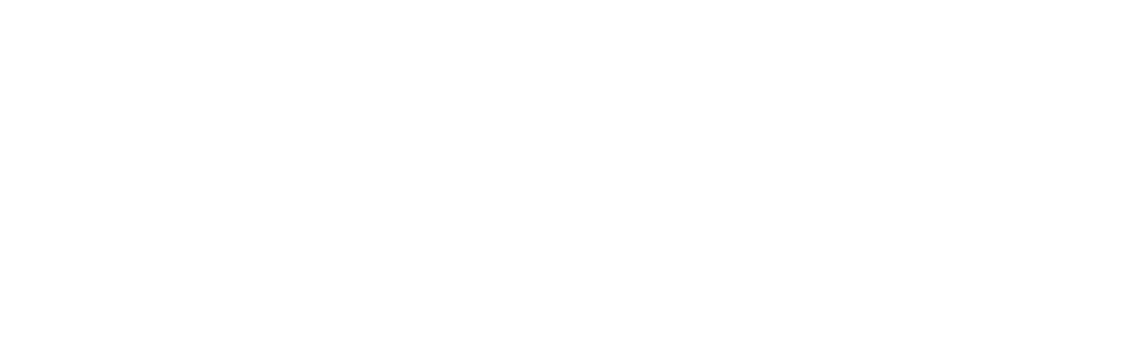 Bostadstvättarna i Sverige AB logotyp