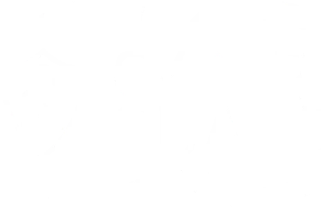 Cyber Guard Sweden AB logotyp