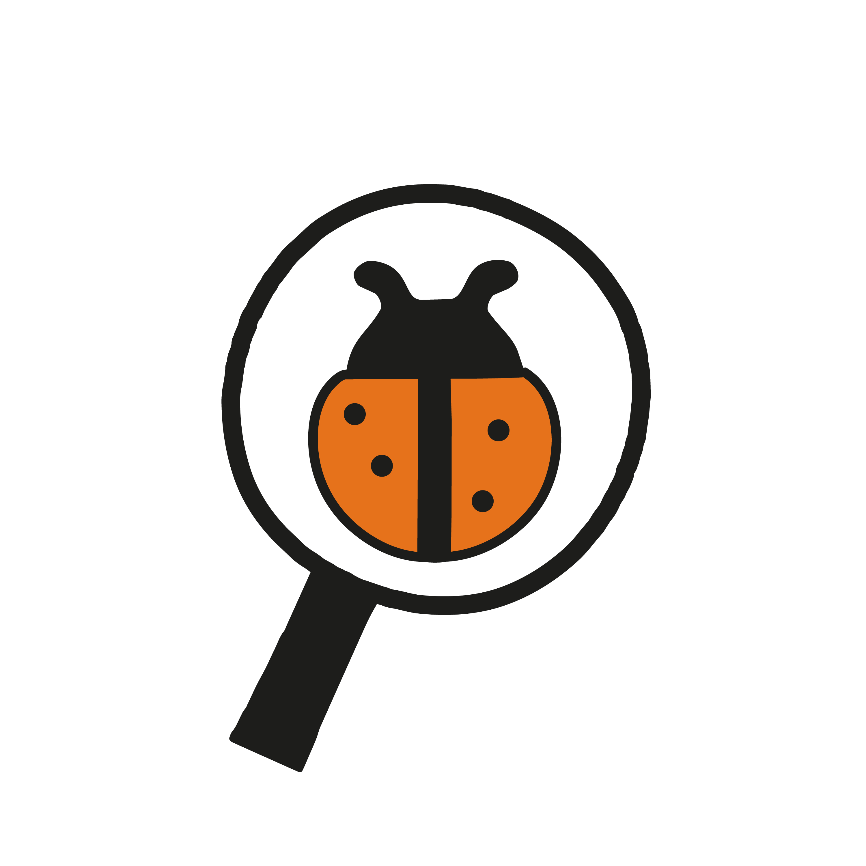 Nemas Problemas AB logotyp
