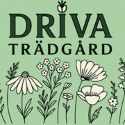 Driva Trädgård i Västmanland AB logotyp