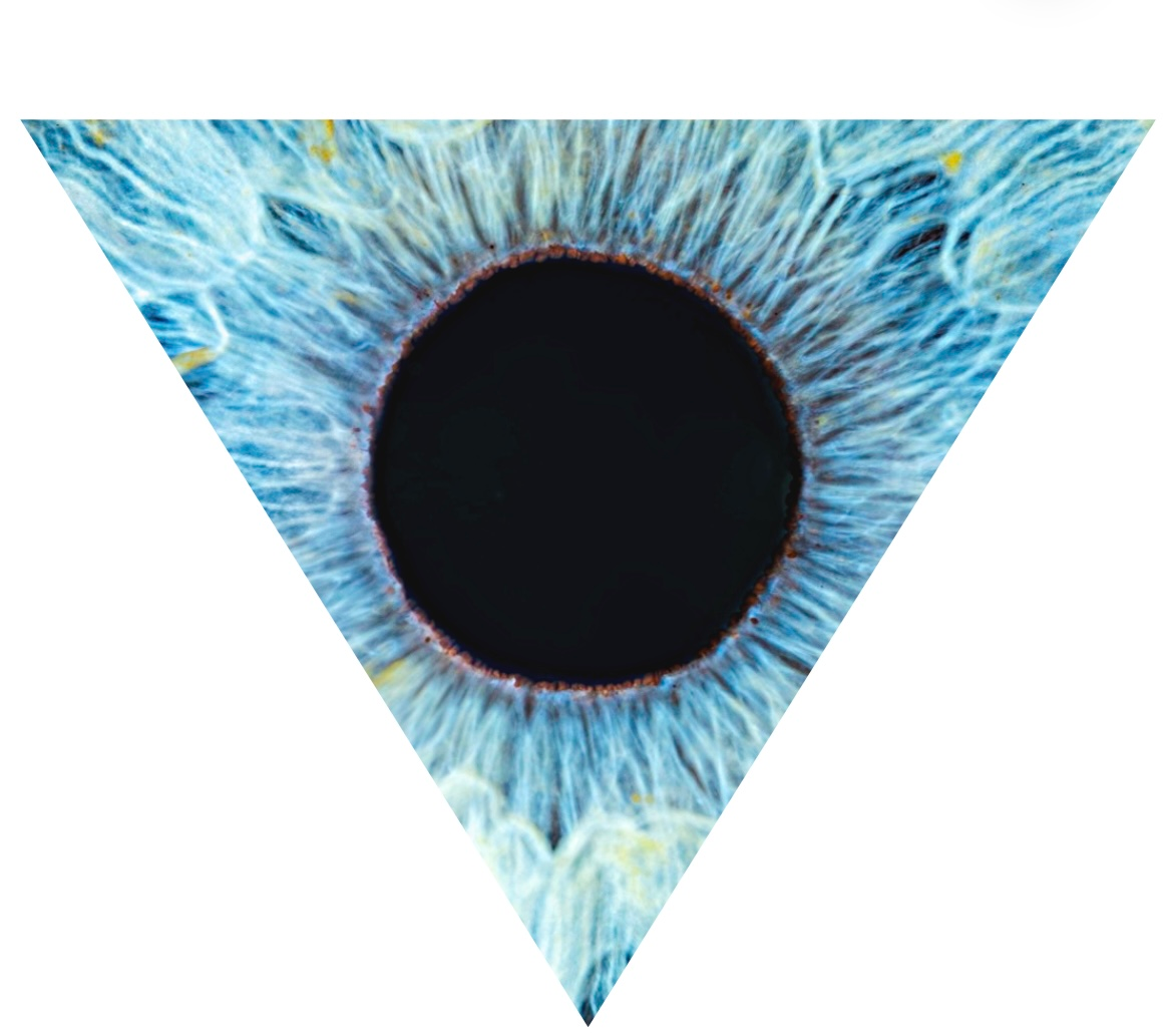 Emilia Zika psykoterapi AB logotyp