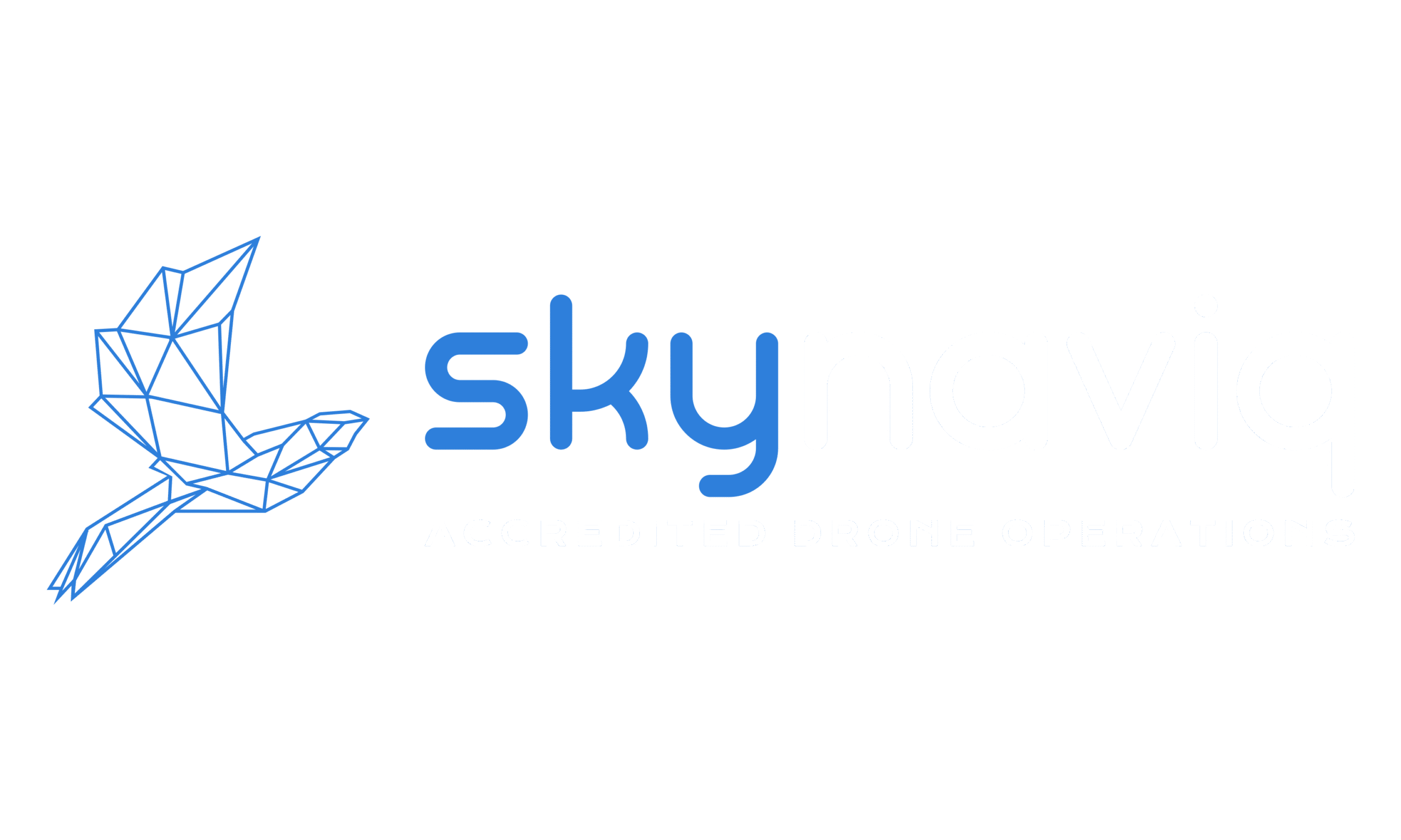 Skynaviq Sweden AB logotyp