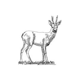 Thoresta Entreprenad AB logotyp