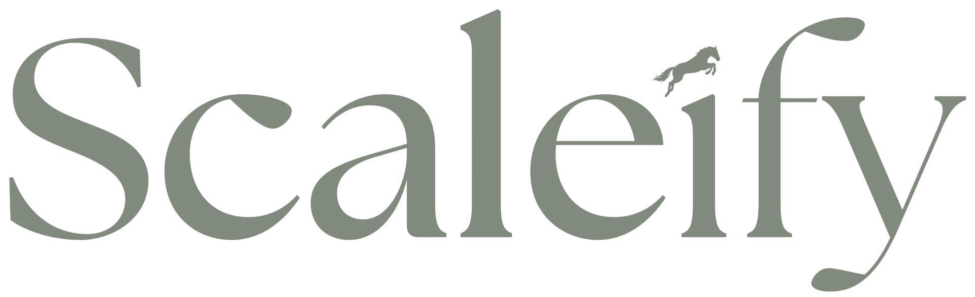 Scaleify Sweden AB logotyp