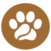 PrimaTass AB logotyp