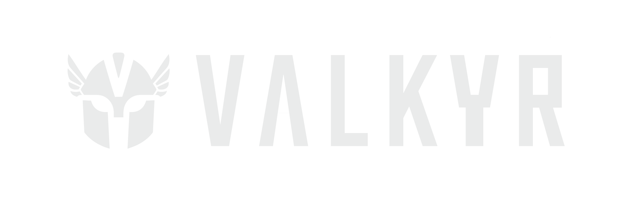 Valkyr Defense Systems AB logotyp