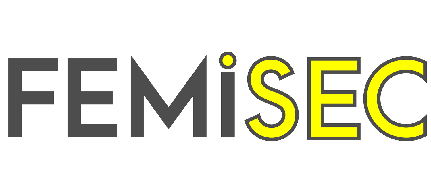 FEMiSEC AB logotyp