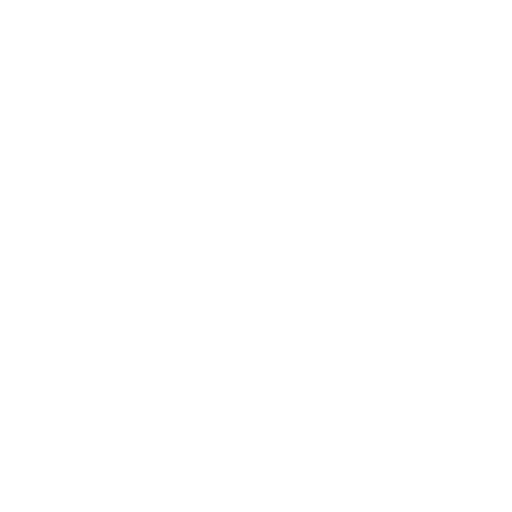 Skaw Hullcleaning AB logotyp