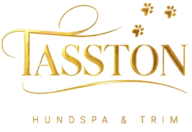 Tasston AB logotyp