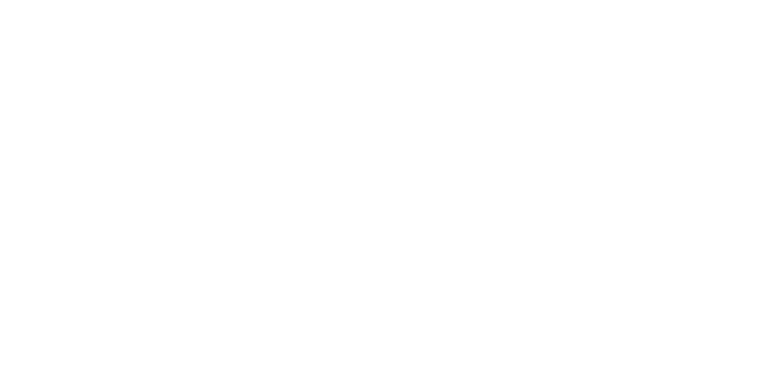 Naissus Books & Media AB logotyp