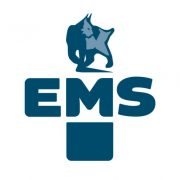 Extreme Safety Medic Sweden AB logotyp
