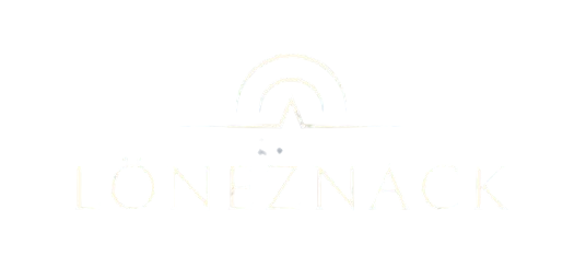 Löneznack Media Sverige AB logotyp