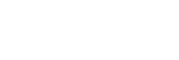 Nimonik Holding Europe AB logotyp