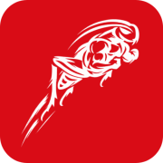 Big Cricket AB logotyp