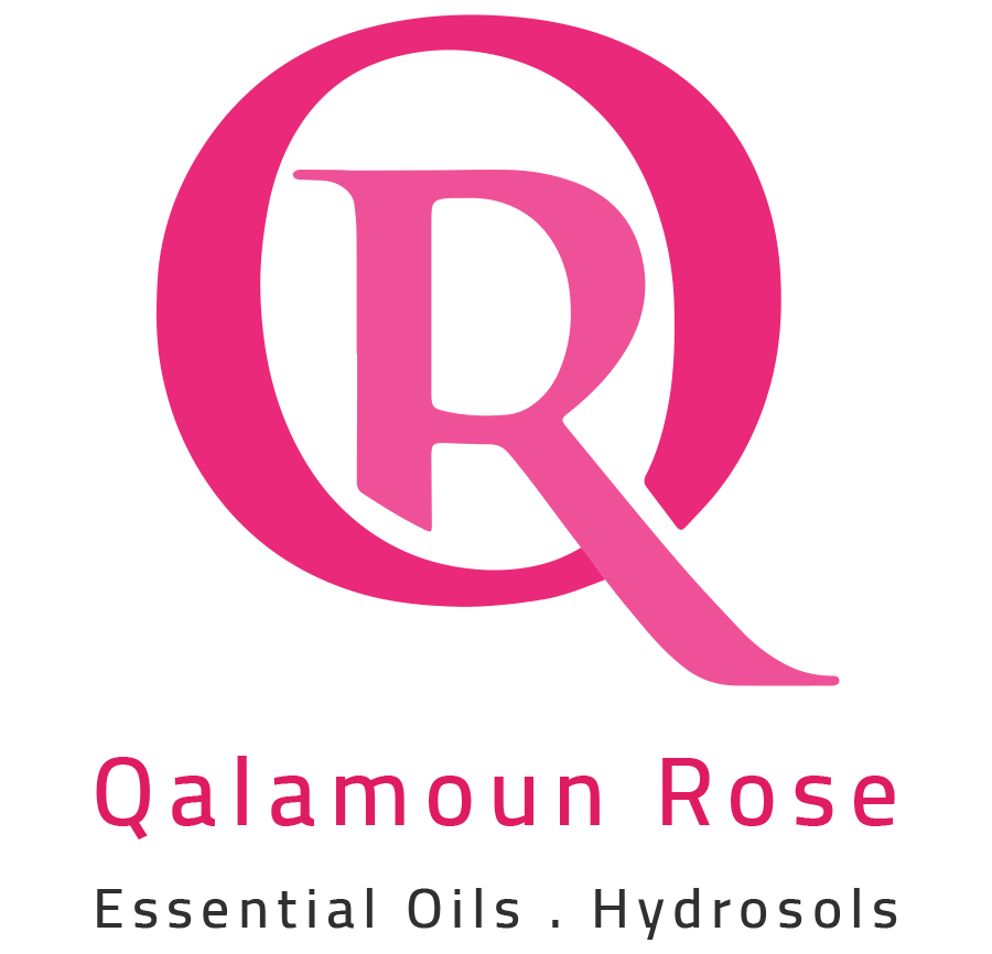 Qalamoun Rose AB logotyp