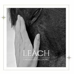 Leach unghästutbildning AB logotyp