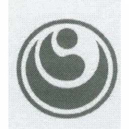 Figurmärke – varumärke, SWEDISH KARATE KYOKUSHINKAI (SKK)
