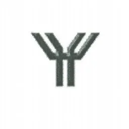 Y – varumärke, YSTAD KOMMUN
