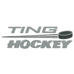 TING HOCKEY – varumärke, Eurovic Aktiebolag