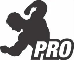 pro – varumärkesbild för Budo & Fitness Stores Scandinavia AB