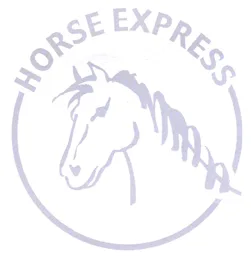 HORSE EXPRESS – varumärkesbild för Appaloosa Horse Power Xpress AB