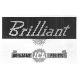 BRILLIANT ICA – varumärkesbild för ICA AB