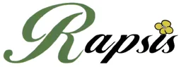 Rapsis – varumärkesbild för Rapsis AB