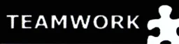 TEAMWORK – varumärkesbild för Teamwork Consulting Group AB